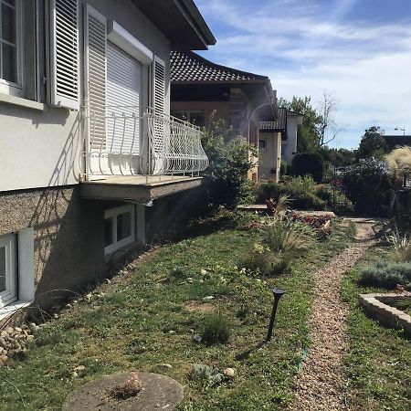 شقة Chez Flo Mittelhausbergen المظهر الخارجي الصورة